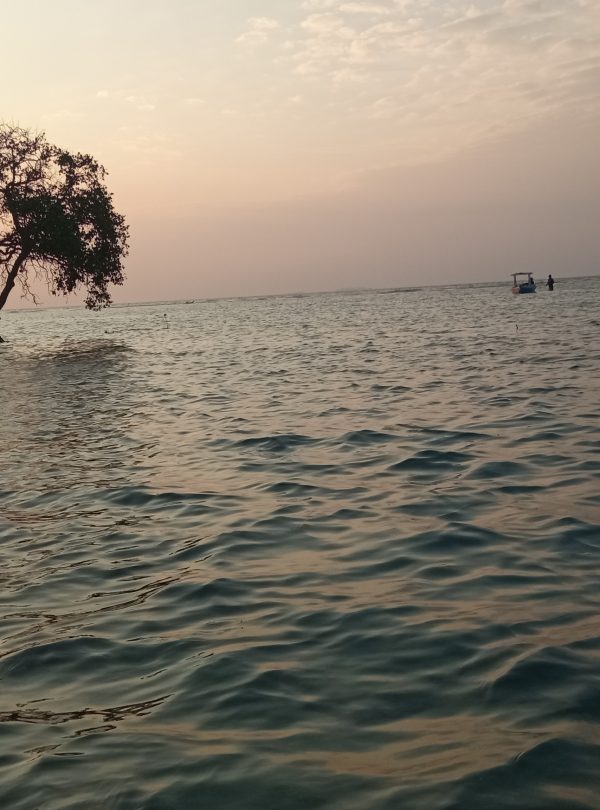 Sunset Mangrove Pulau Harapan
