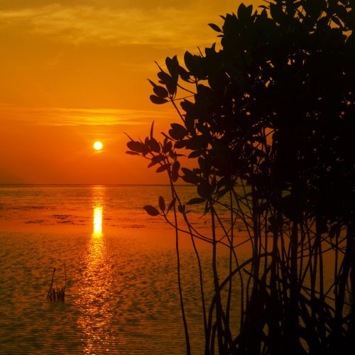 Sunrise Kepulauan Seribu